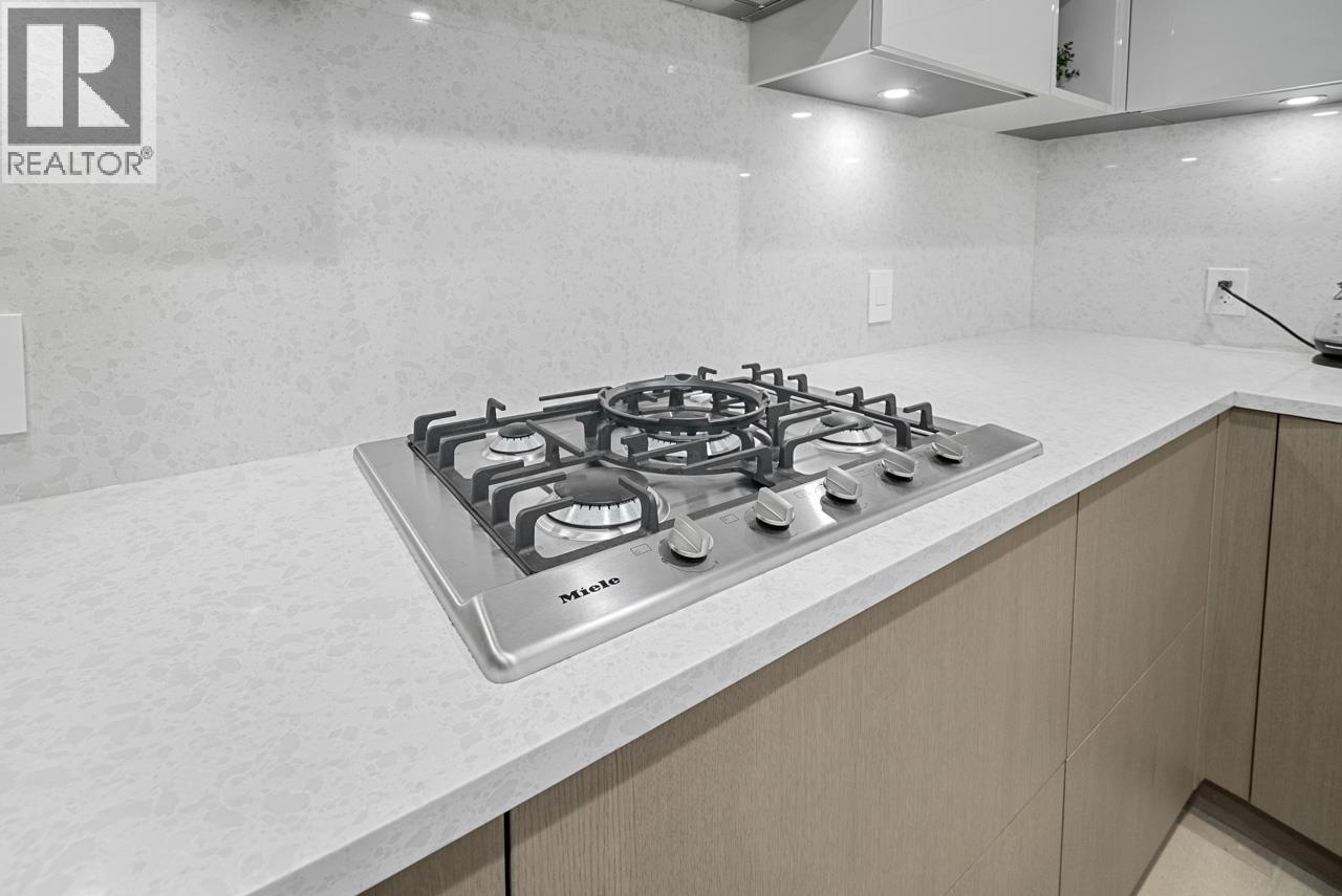 303 469 W King Edward Avenue, Vancouver, British Columbia  V5Y 2J3 - Photo 5 - R3127801