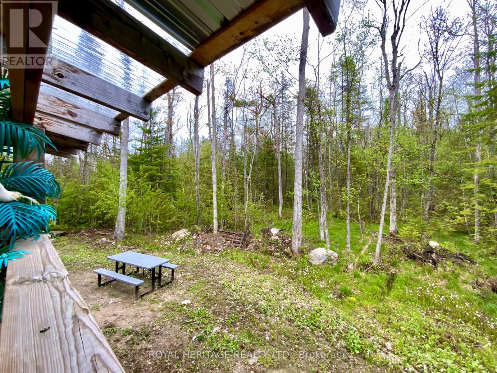 23 River Road, Kawartha Lakes, Ontario  K0M 1N0 - Photo 26 - X12988652