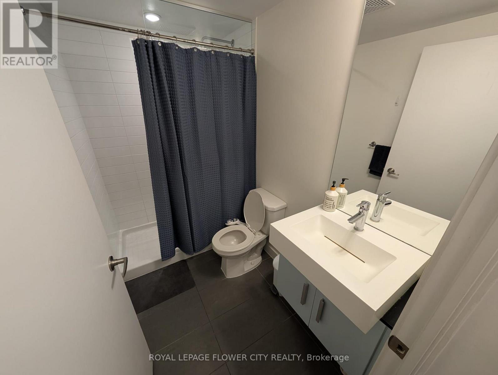 503 - 38 Dan Leckie Way, Toronto, Ontario  M5V 2V6 - Photo 11 - C13172524