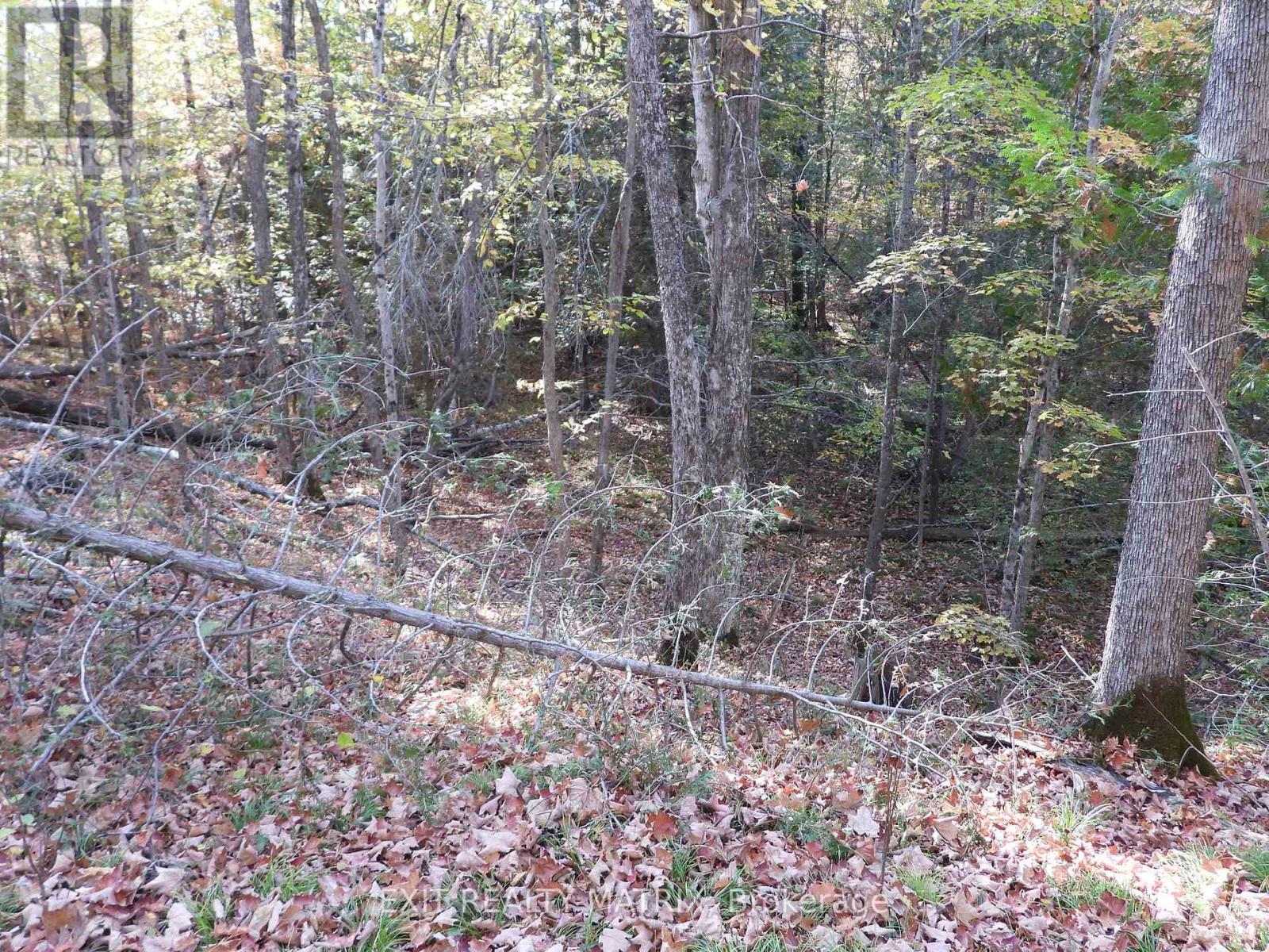 Lot 1 Woodland Park Drive, Central Frontenac, Ontario K0H 1B0 - Photo 2 - X13172610