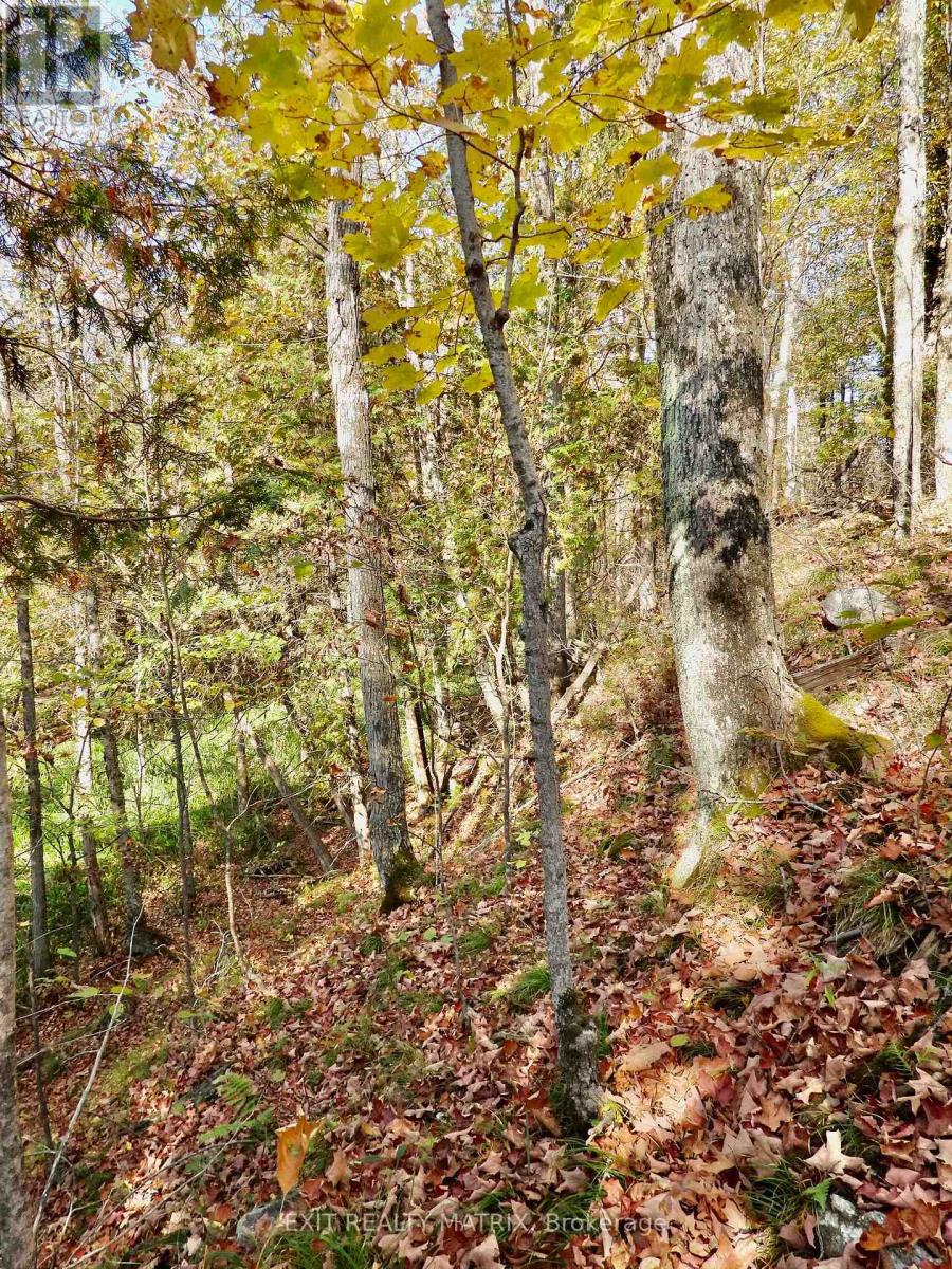 Lot 1 Woodland Park Drive, Central Frontenac, Ontario K0H 1B0 - Photo 3 - X13172610