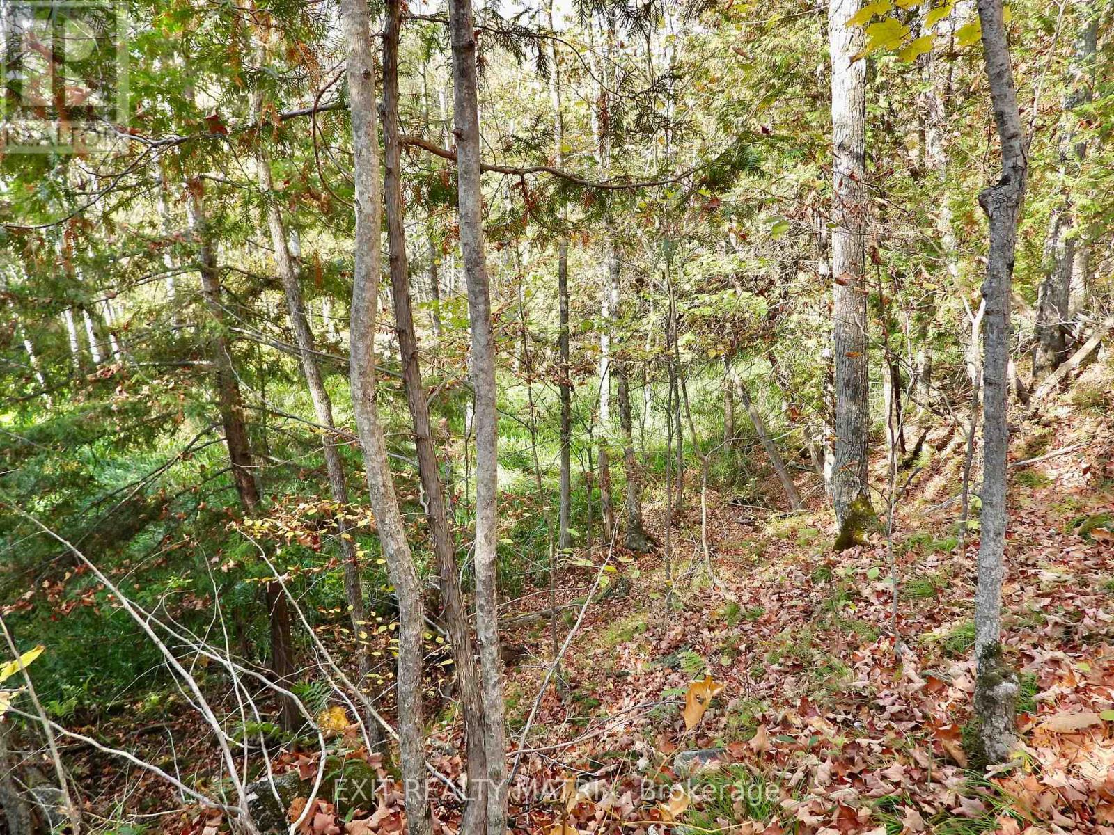 Lot 1 Woodland Park Drive, Central Frontenac, Ontario K0H 1B0 - Photo 4 - X13172610