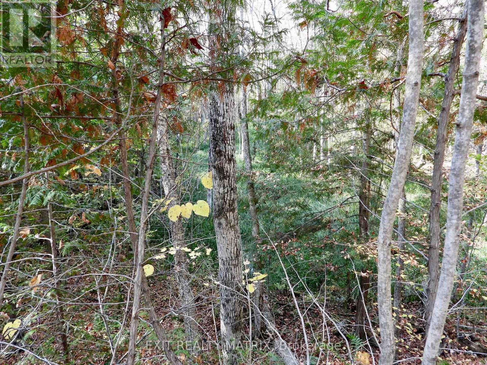 Lot 1 Woodland Park Drive, Central Frontenac, Ontario K0H 1B0 - Photo 5 - X13172610