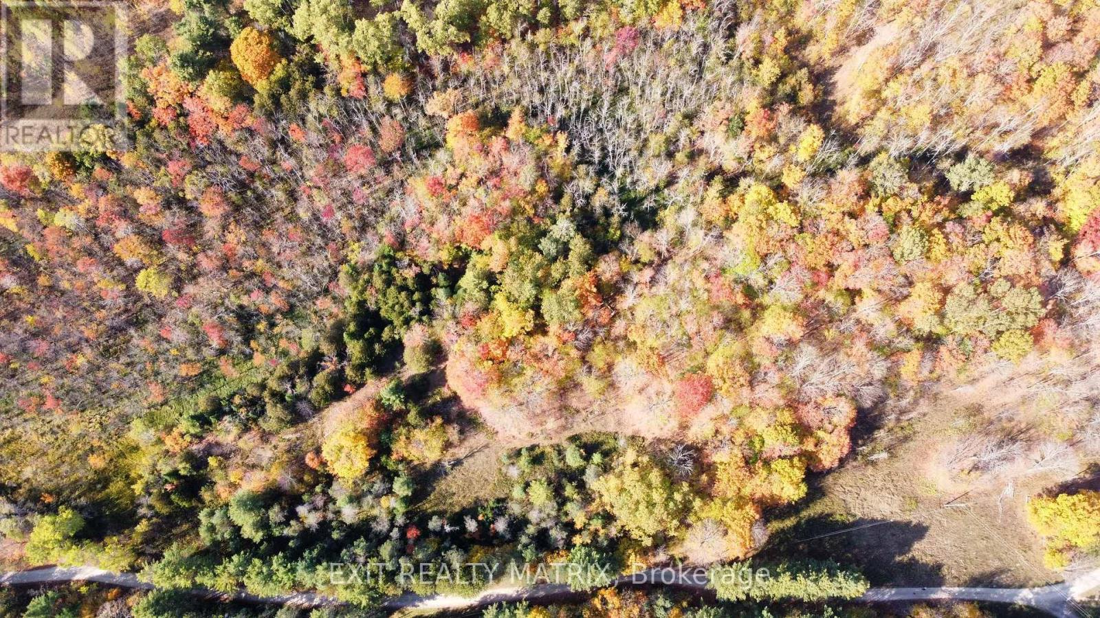 Lot 1 Woodland Park Drive, Central Frontenac, Ontario K0H 1B0 - Photo 7 - X13172610