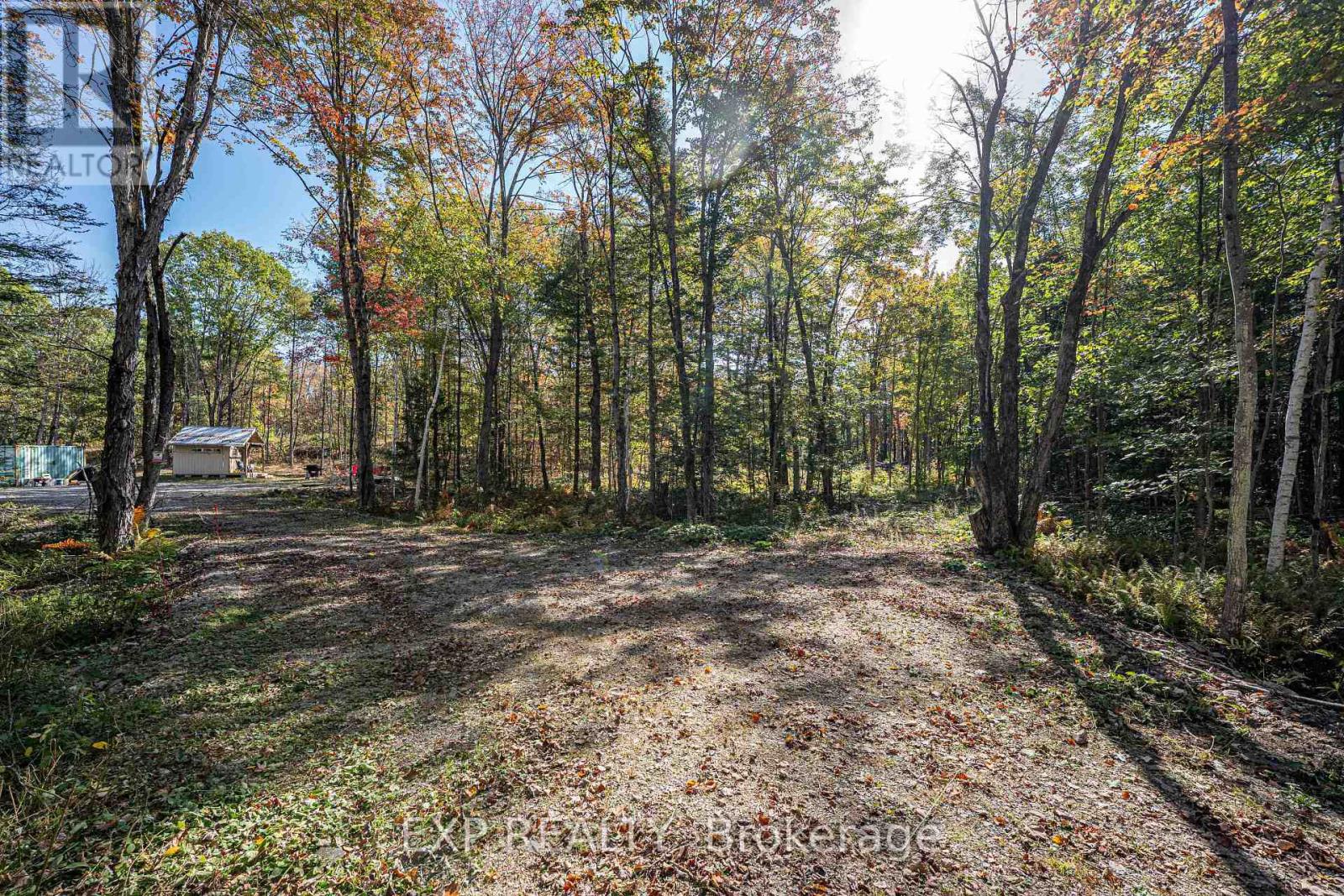 3124 Southwood Road, Gravenhurst, Ontario  P0E 1G0 - Photo 4 - X13172634