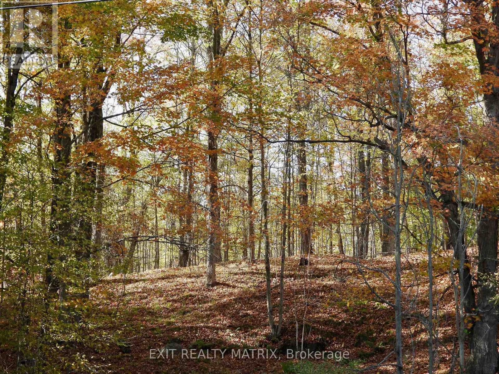 Lot 2 Woodland Park Drive, Frontenac, Ontario  K0H 1B0 - Photo 5 - X13172676