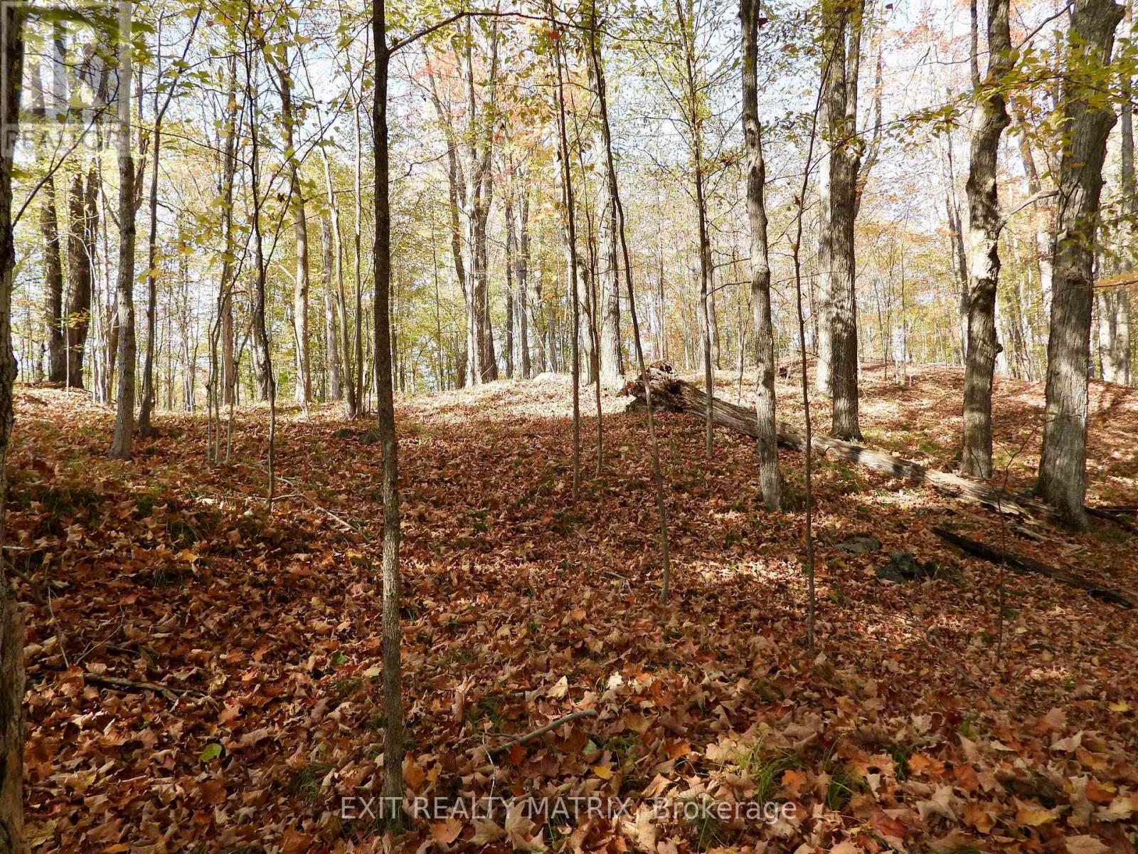 Lot 2 Woodland Park Drive, Frontenac, Ontario  K0H 1B0 - Photo 6 - X13172676