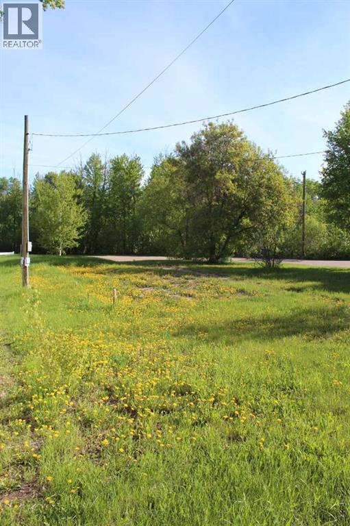 307 3rd Street SE, Manning, Alberta  T0H 2M0 - Photo 1 - A2098254