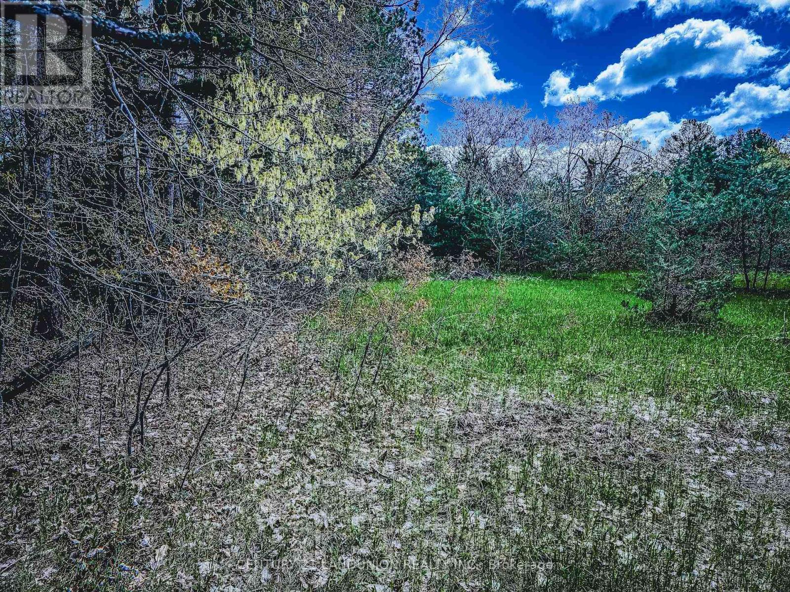 4192 Vivian Road, Whitchurch-Stouffville, Ontario  L0G 1E0 - Photo 10 - N13105190