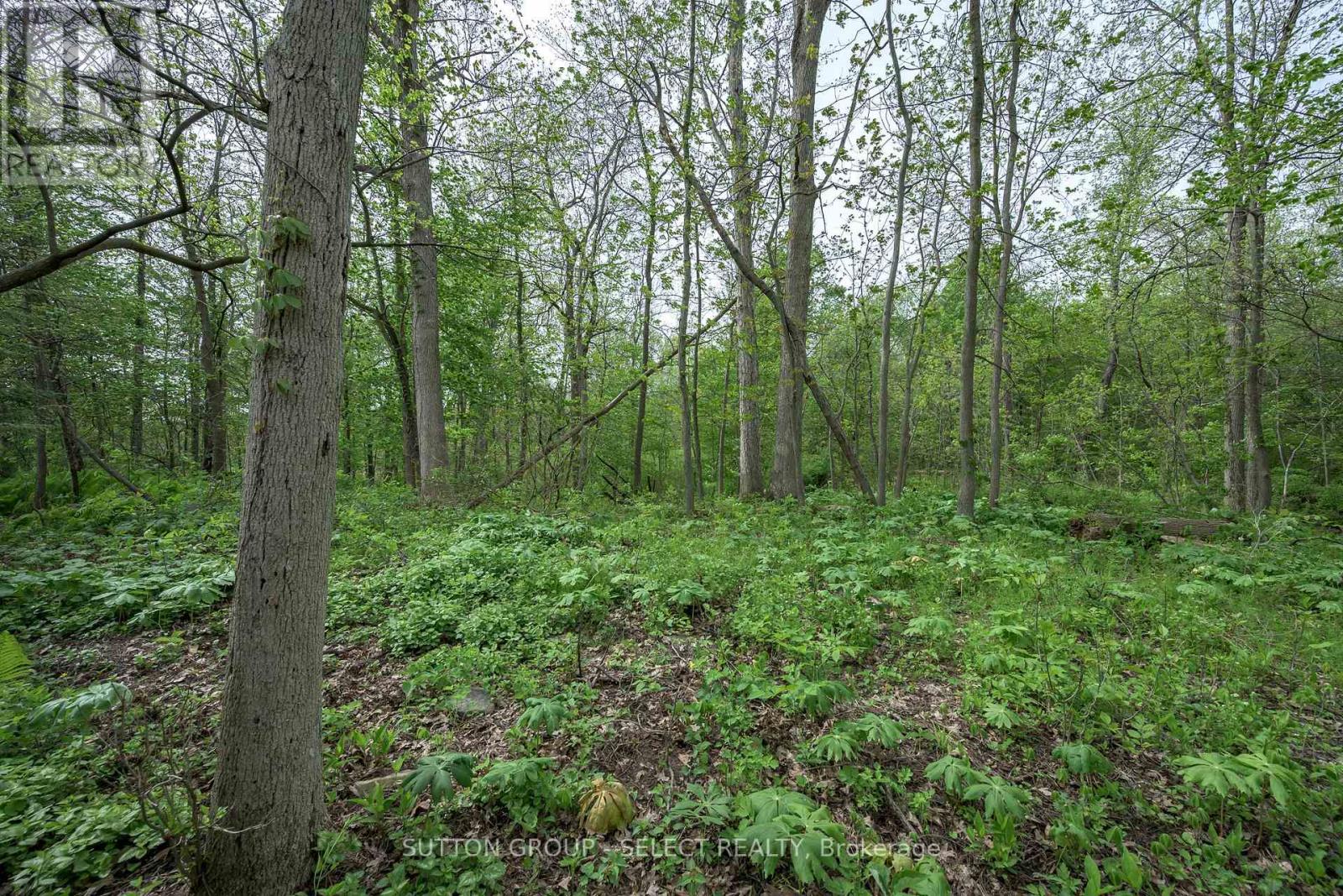 38 Camrose Court, London South, Ontario  N6K 4B5 - Photo 39 - X13172978