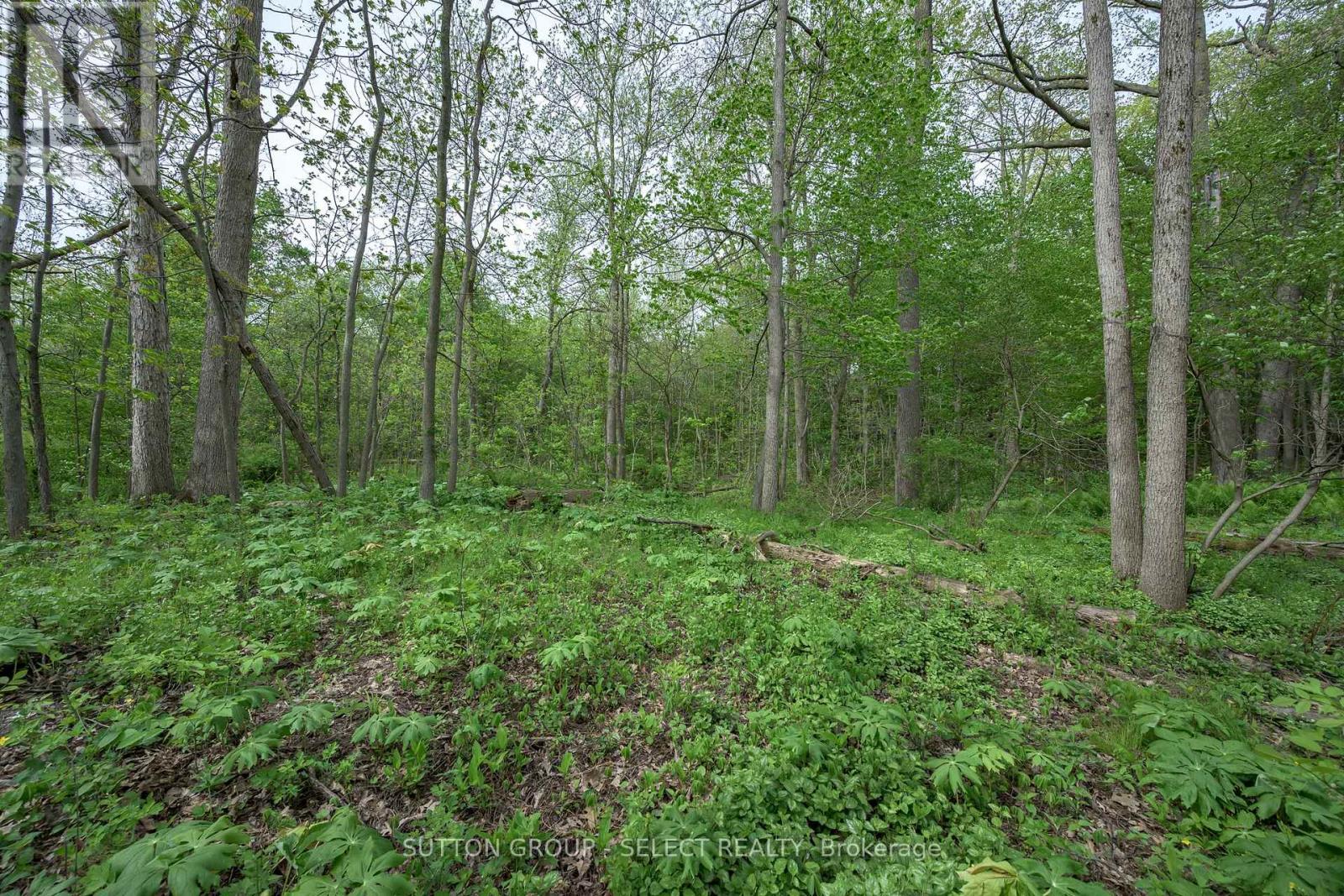 38 Camrose Court, London South, Ontario  N6K 4B5 - Photo 4 - X13172978
