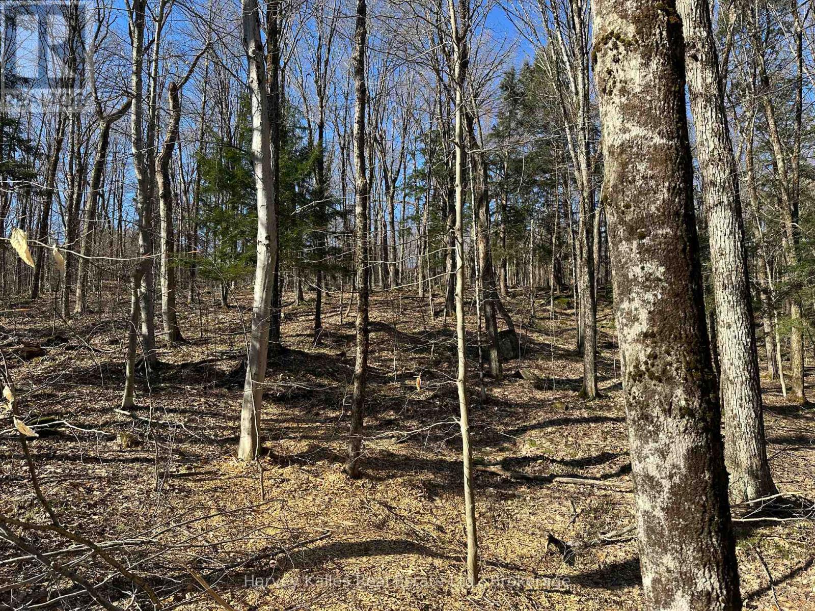 Con 1 Pt Lot 12 Barlochan Road, Muskoka Lakes (Wood (Muskoka Lakes)), Ontario  P1P 1R2 - Photo 17 - X13173086