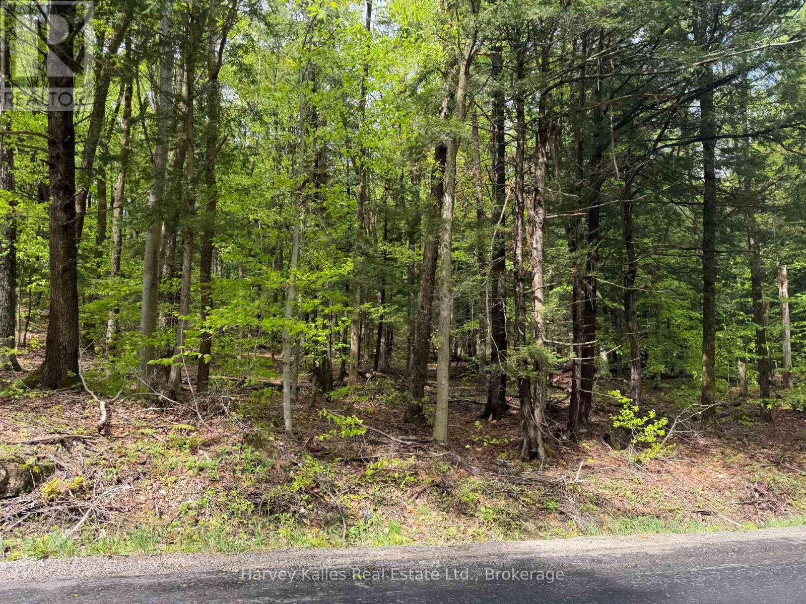 Con 1 Pt Lot 12 Barlochan Road, Muskoka Lakes (Wood (Muskoka Lakes)), Ontario  P1P 1R2 - Photo 2 - X13173086