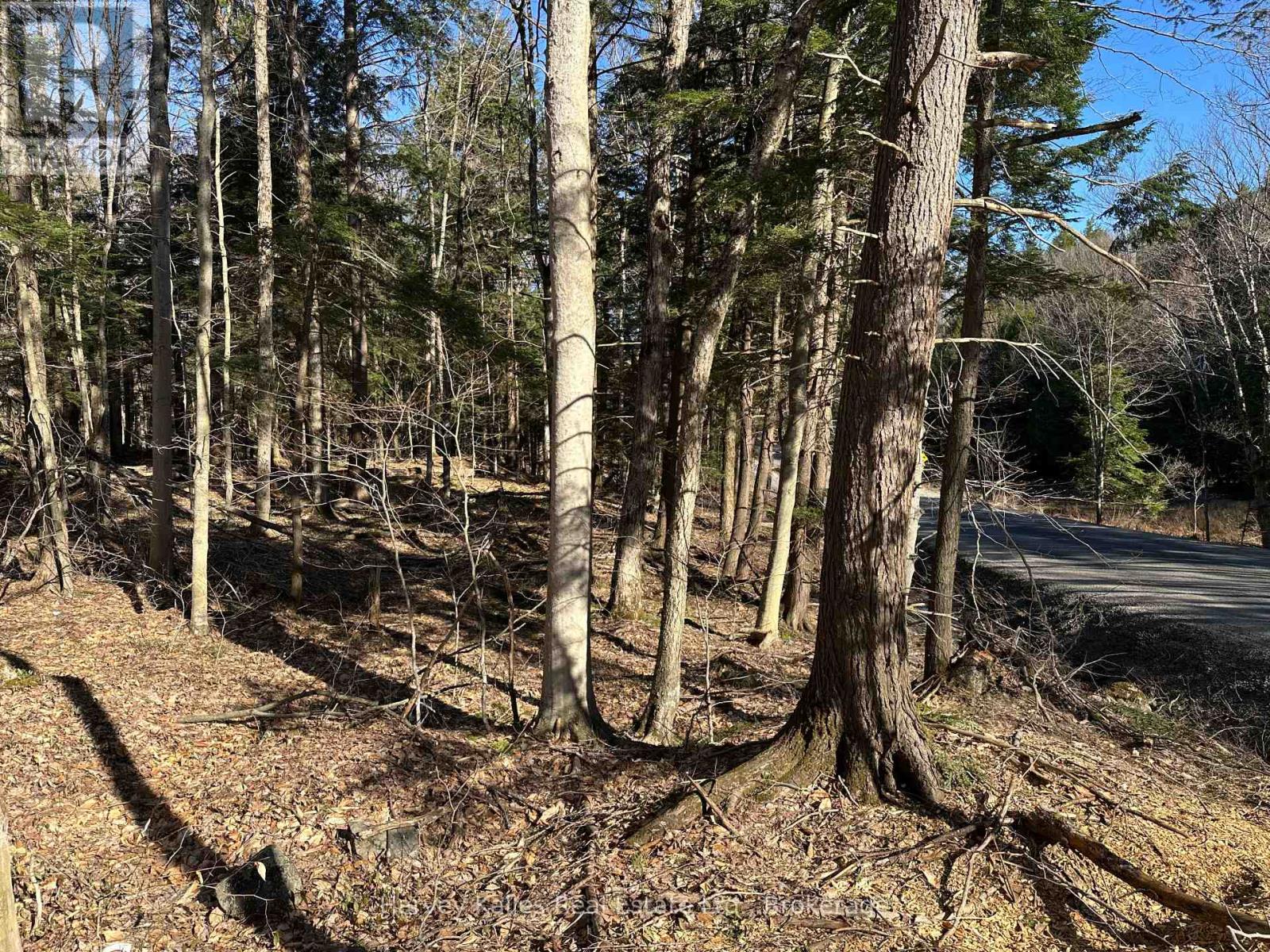 Con 1 Pt Lot 12 Barlochan Road, Muskoka Lakes (Wood (Muskoka Lakes)), Ontario  P1P 1R2 - Photo 20 - X13173086