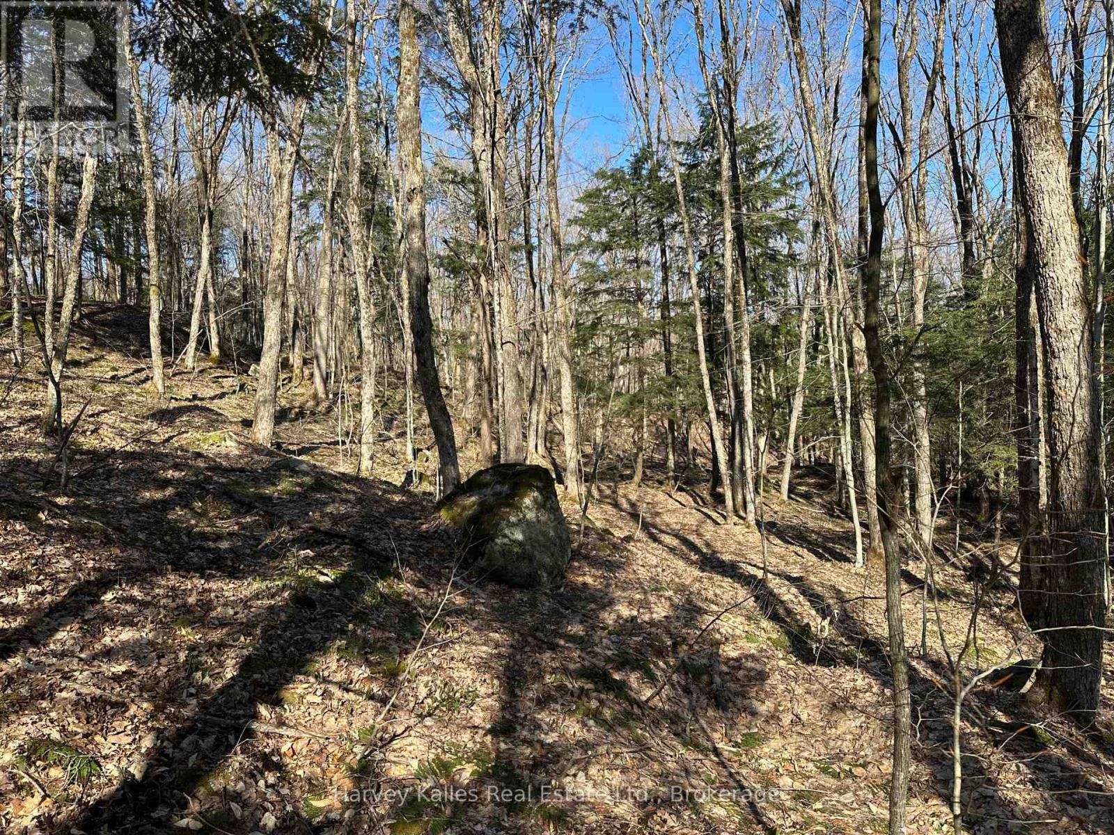 Con 1 Pt Lot 12 Barlochan Road, Muskoka Lakes (Wood (Muskoka Lakes)), Ontario  P1P 1R2 - Photo 21 - X13173086