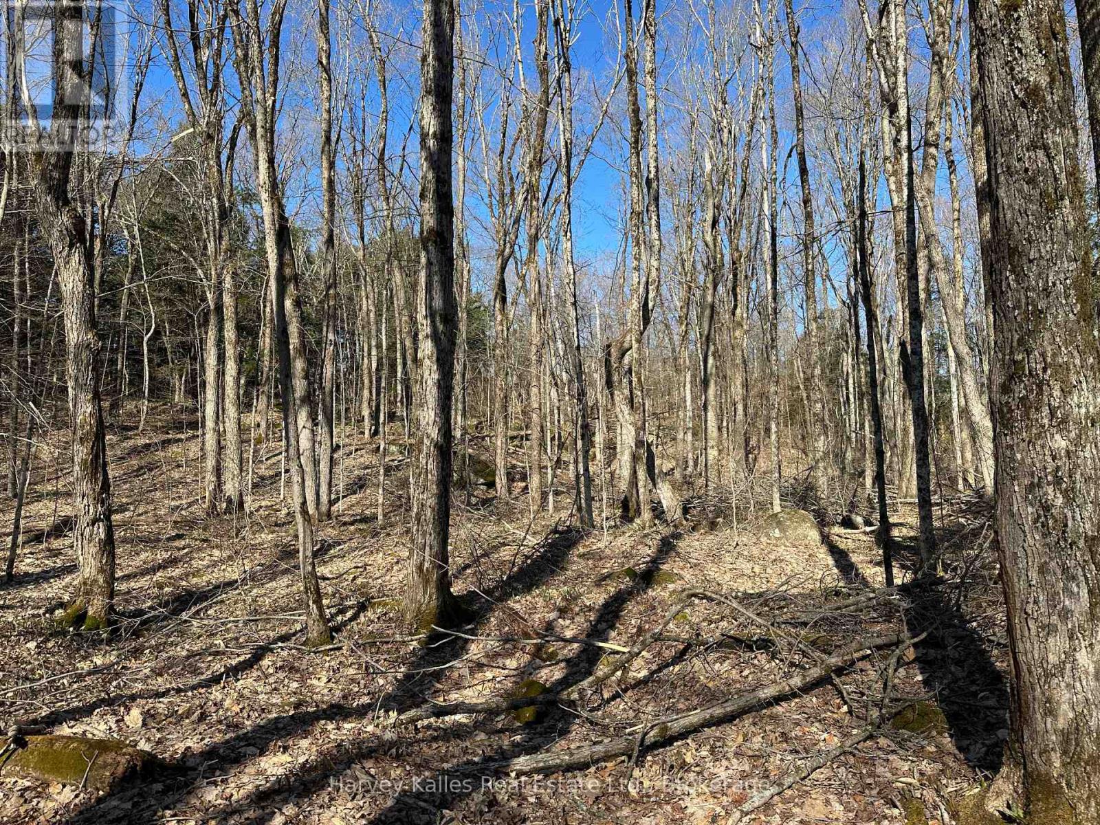 Con 1 Pt Lot 12 Barlochan Road, Muskoka Lakes (Wood (Muskoka Lakes)), Ontario  P1P 1R2 - Photo 25 - X13173086