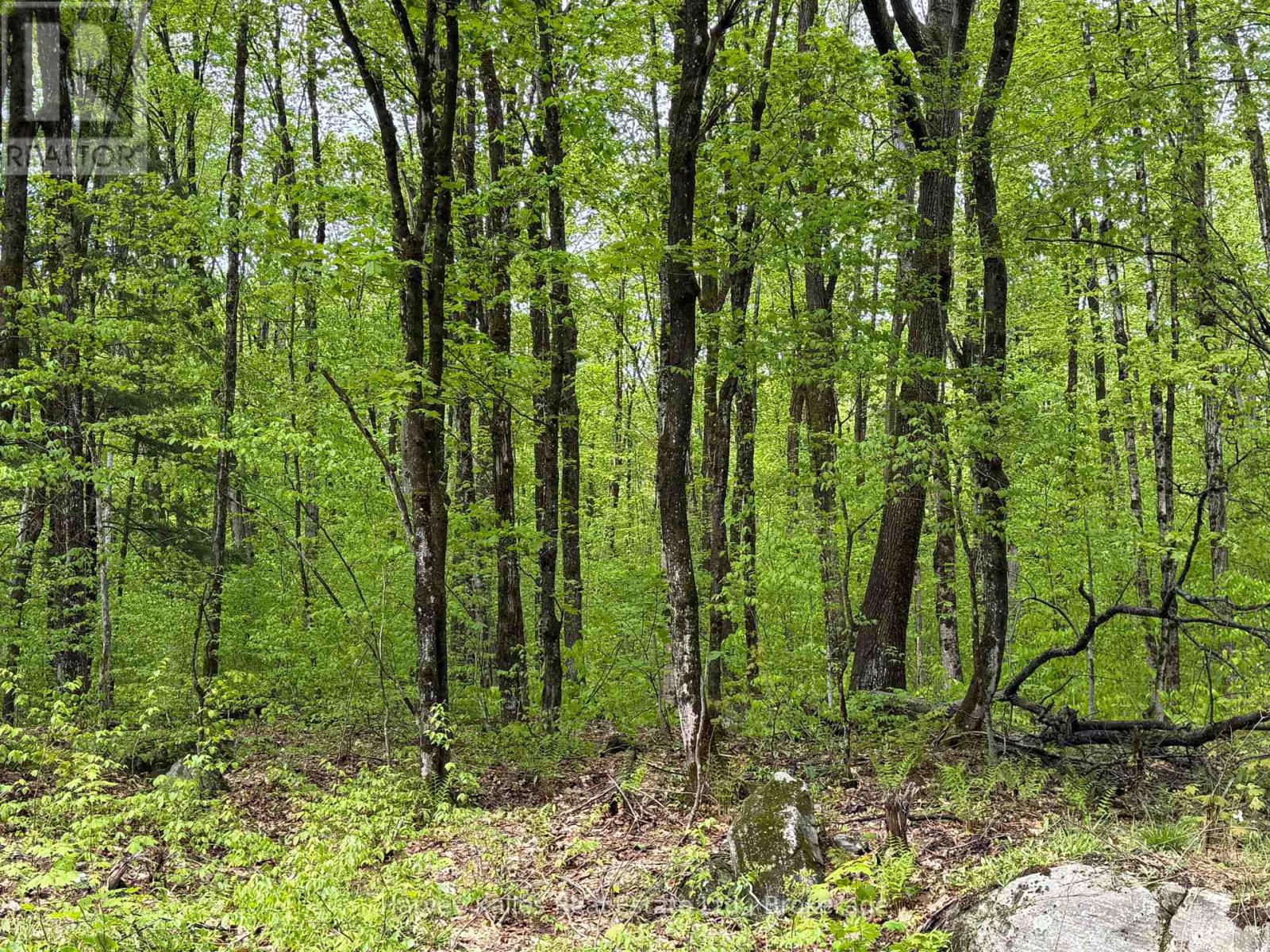Con 1 Pt Lot 12 Barlochan Road, Muskoka Lakes (Wood (Muskoka Lakes)), Ontario  P1P 1R2 - Photo 3 - X13173086