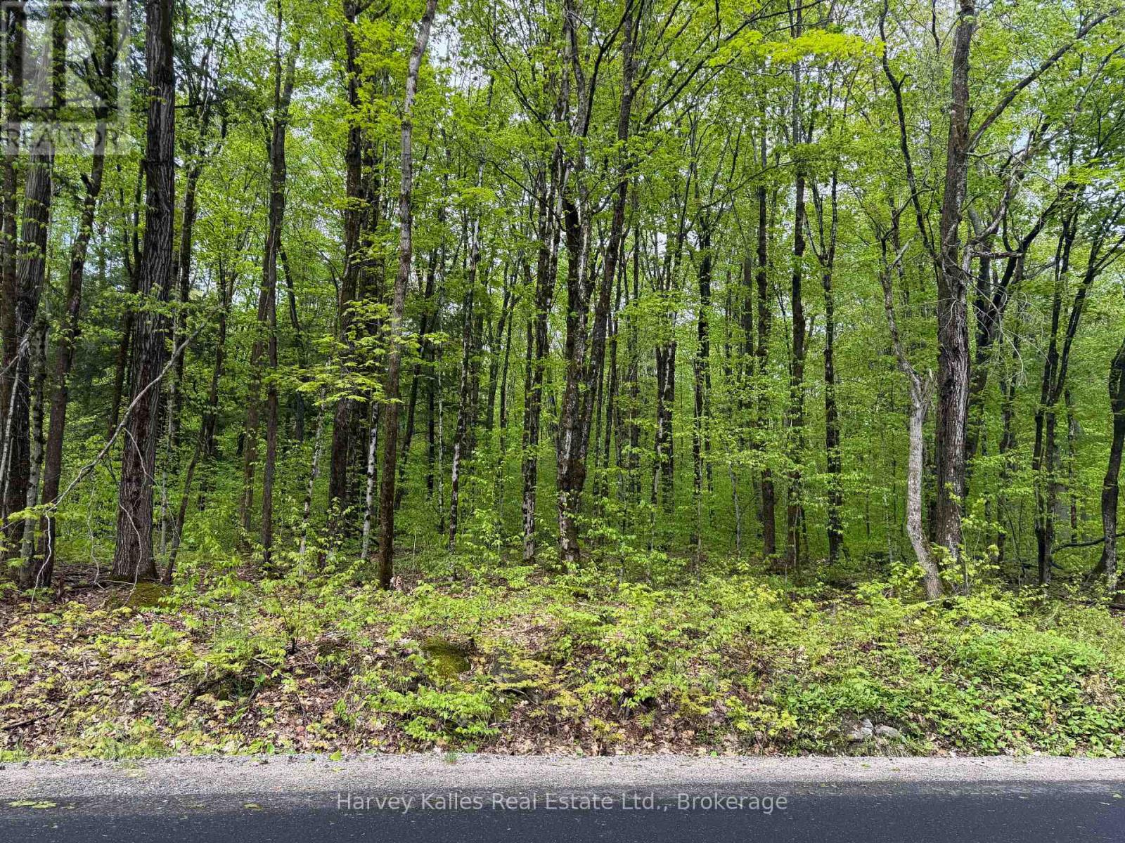 Con 1 Pt Lot 12 Barlochan Road, Muskoka Lakes (Wood (Muskoka Lakes)), Ontario  P1P 1R2 - Photo 32 - X13173086