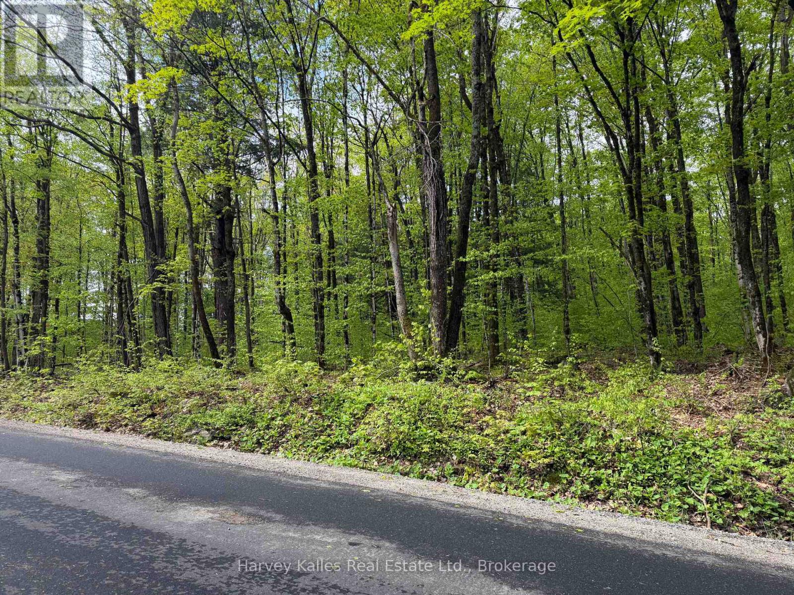 Con 1 Pt Lot 12 Barlochan Road, Muskoka Lakes (Wood (Muskoka Lakes)), Ontario  P1P 1R2 - Photo 33 - X13173086