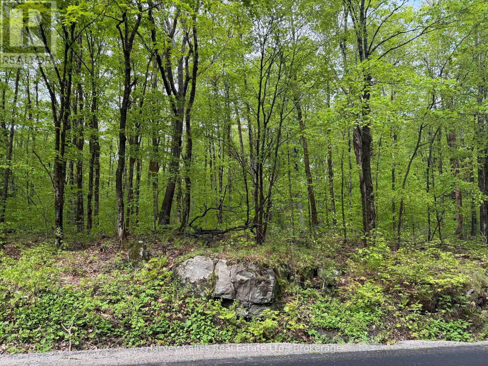 Con 1 Pt Lot 12 Barlochan Road, Muskoka Lakes (Wood (Muskoka Lakes)), Ontario  P1P 1R2 - Photo 35 - X13173086
