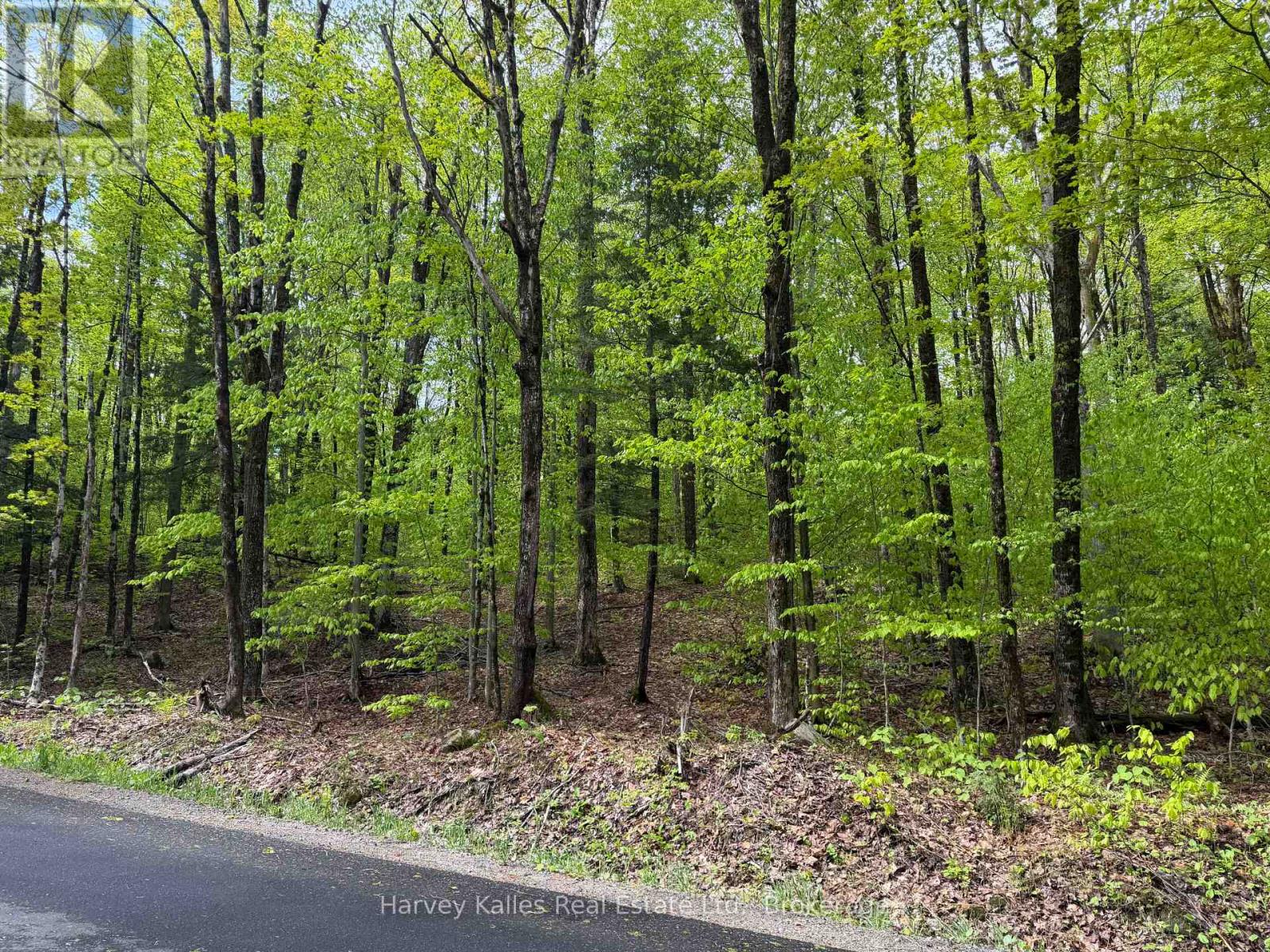 Con 1 Pt Lot 12 Barlochan Road, Muskoka Lakes (Wood (Muskoka Lakes)), Ontario  P1P 1R2 - Photo 36 - X13173086
