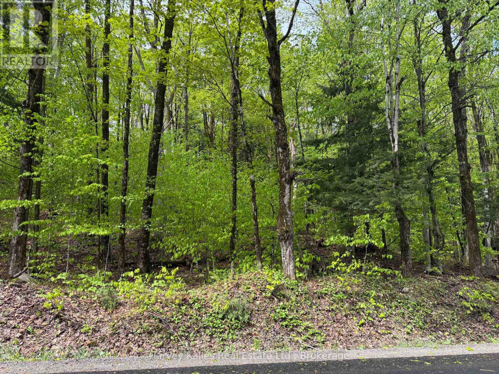 Con 1 Pt Lot 12 Barlochan Road, Muskoka Lakes (Wood (Muskoka Lakes)), Ontario  P1P 1R2 - Photo 37 - X13173086