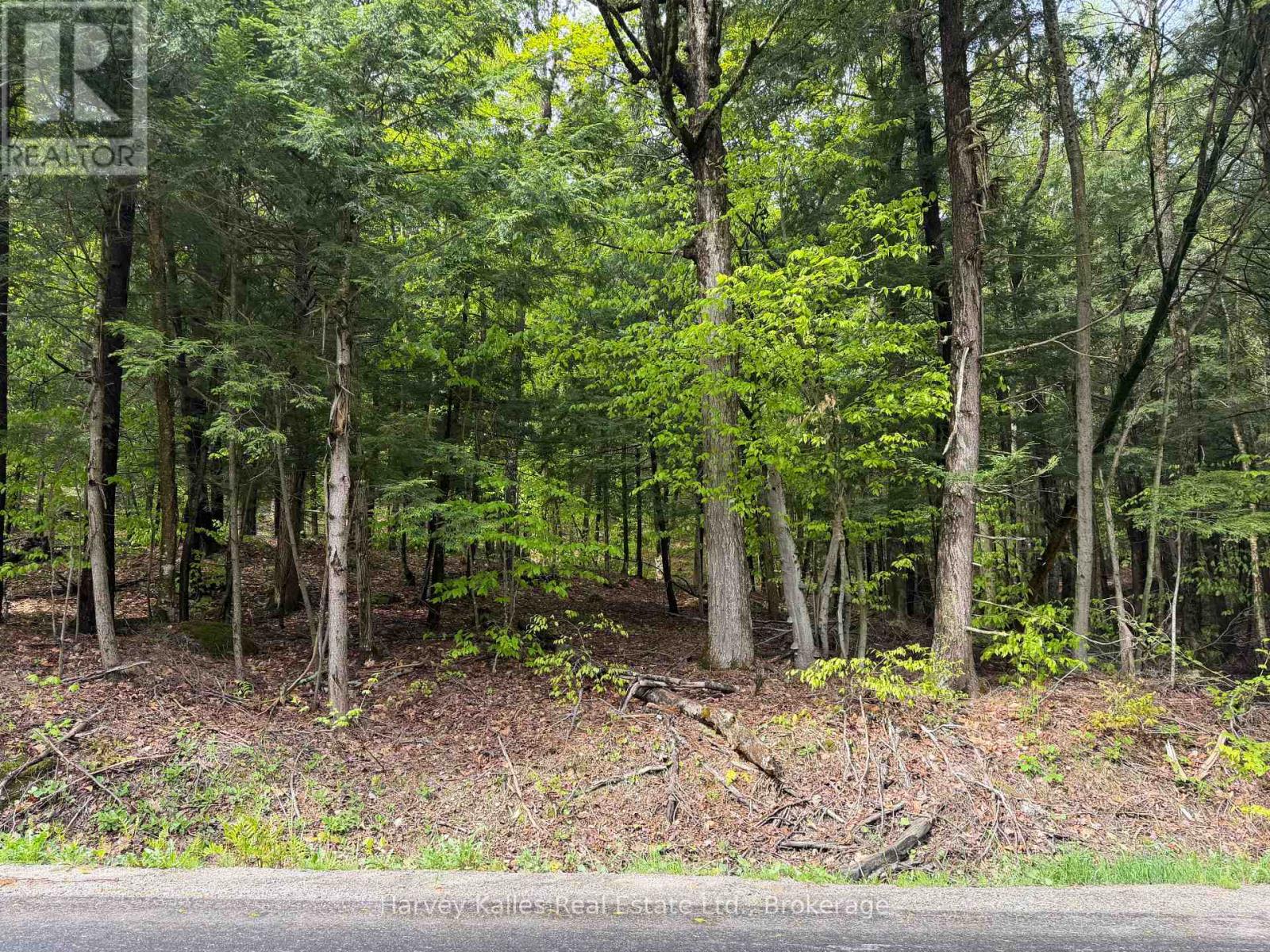Con 1 Pt Lot 12 Barlochan Road, Muskoka Lakes (Wood (Muskoka Lakes)), Ontario  P1P 1R2 - Photo 38 - X13173086