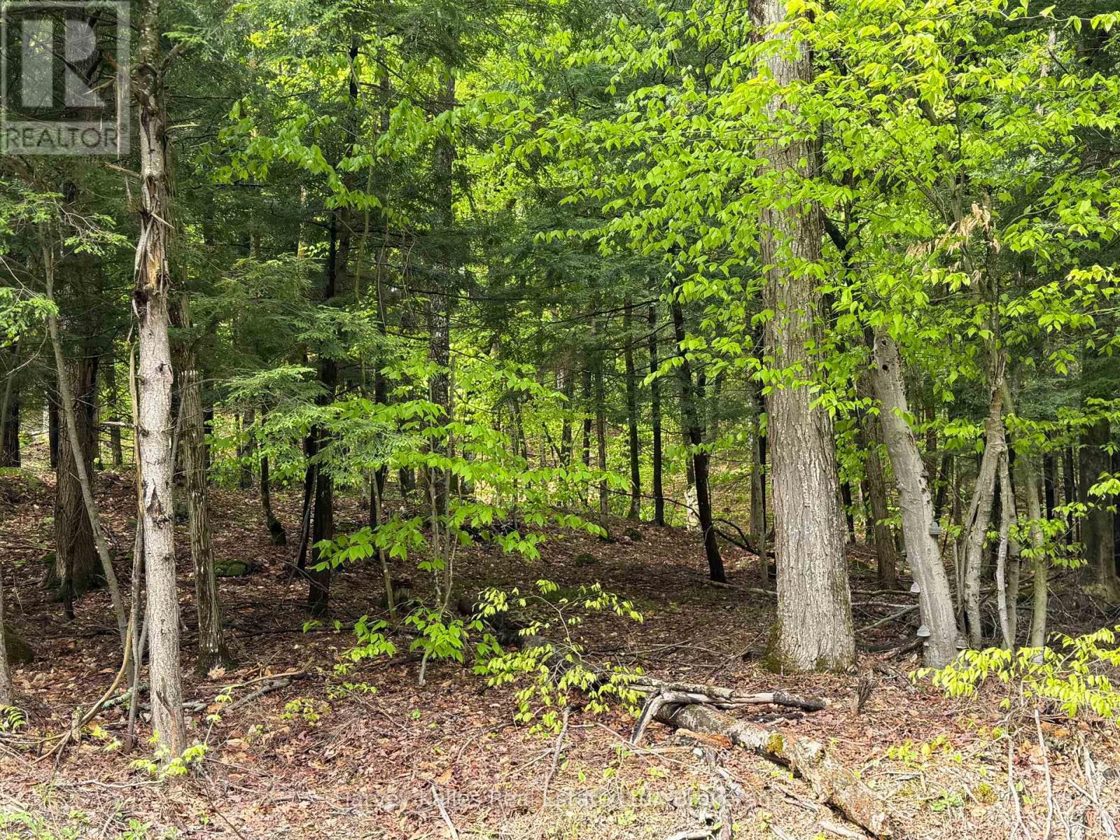 Con 1 Pt Lot 12 Barlochan Road, Muskoka Lakes (Wood (Muskoka Lakes)), Ontario  P1P 1R2 - Photo 39 - X13173086