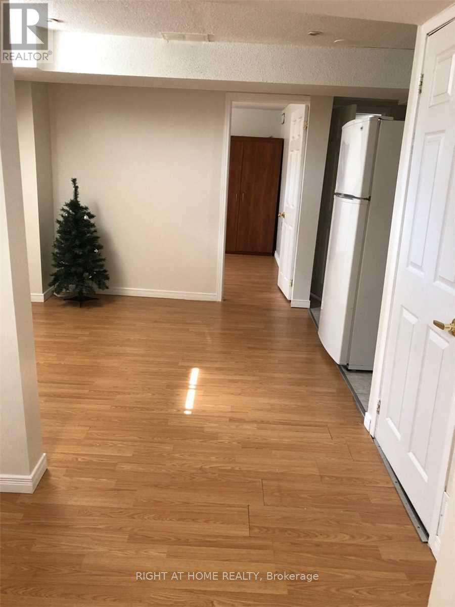 Bsmt - 858 Sisler Avenue, Newmarket, Ontario  L3X 2V1 - Photo 5 - N13173026