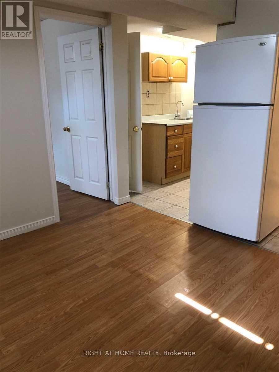 Bsmt - 858 Sisler Avenue, Newmarket, Ontario  L3X 2V1 - Photo 6 - N13173026