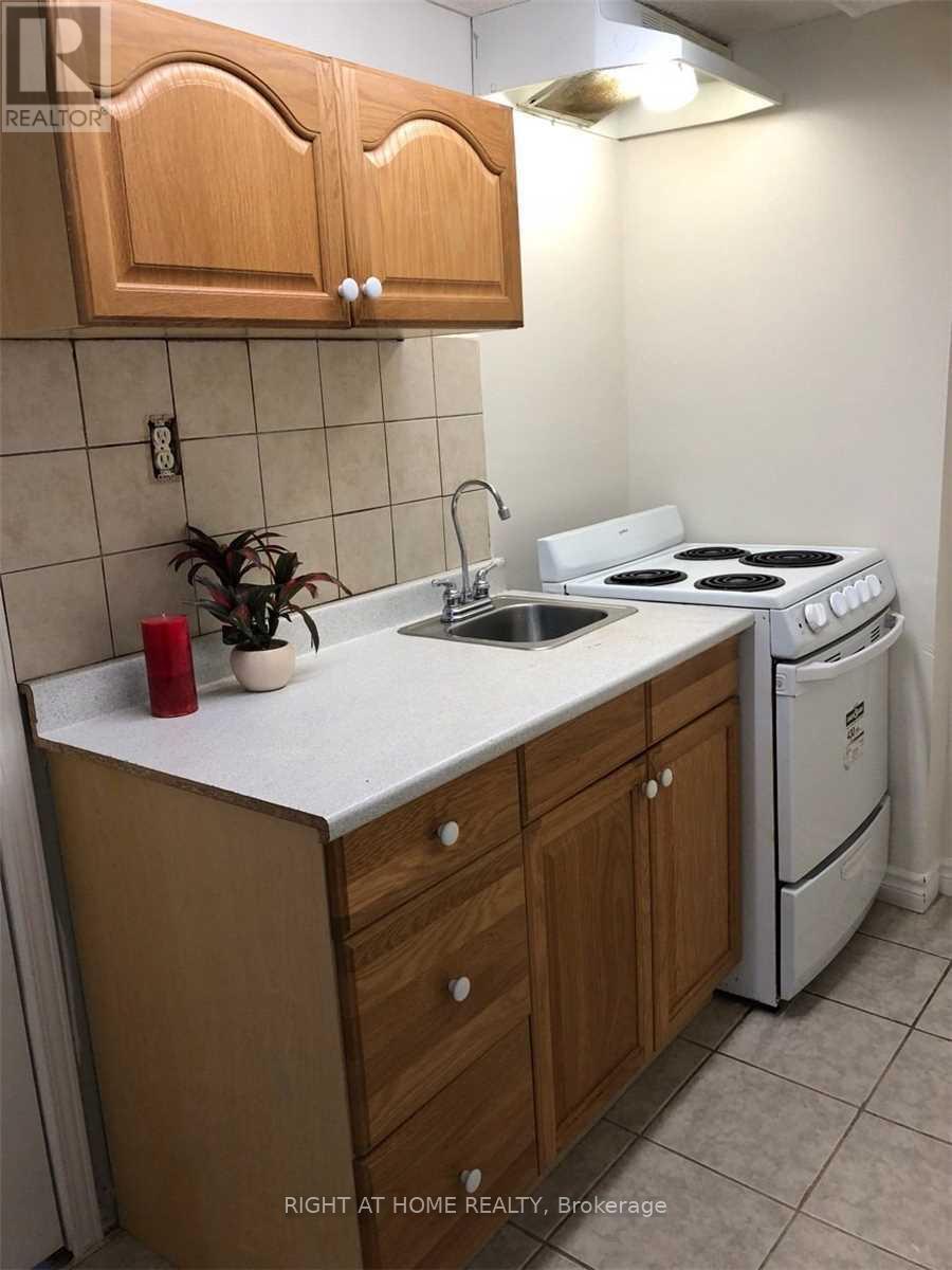 Bsmt - 858 Sisler Avenue, Newmarket, Ontario  L3X 2V1 - Photo 7 - N13173026