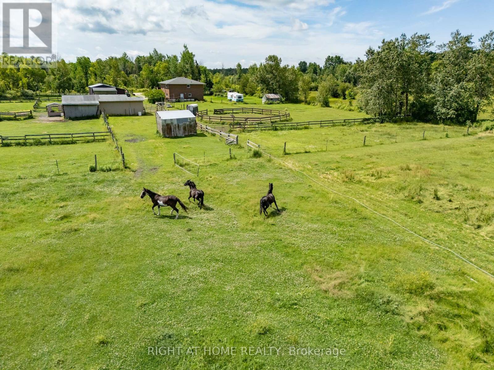 5896 Sunnidale Concession 5 Road, Clearview, Ontario  L0M 1N0 - Photo 20 - S13173056