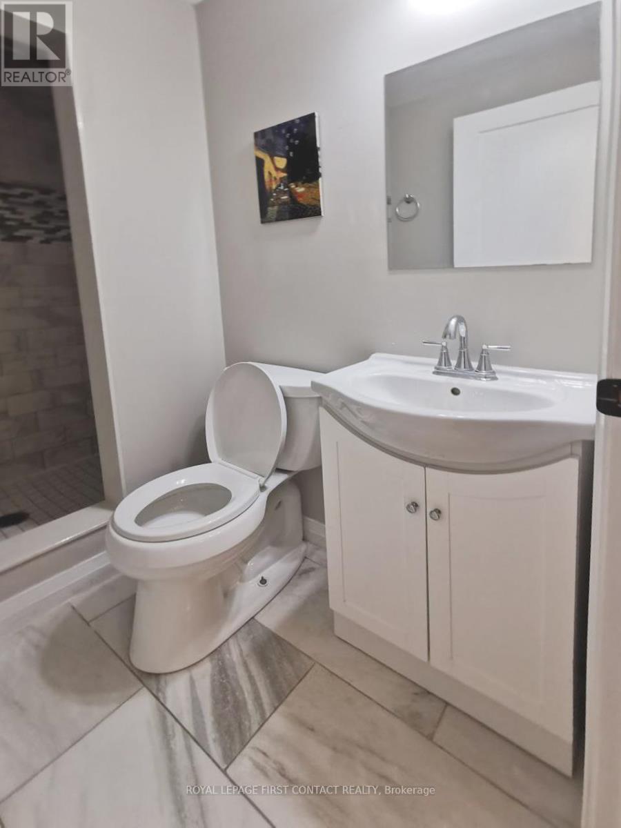 Basement - 193 Hanmer Street E, Barrie, Ontario  L4M 6W6 - Photo 3 - S13173150