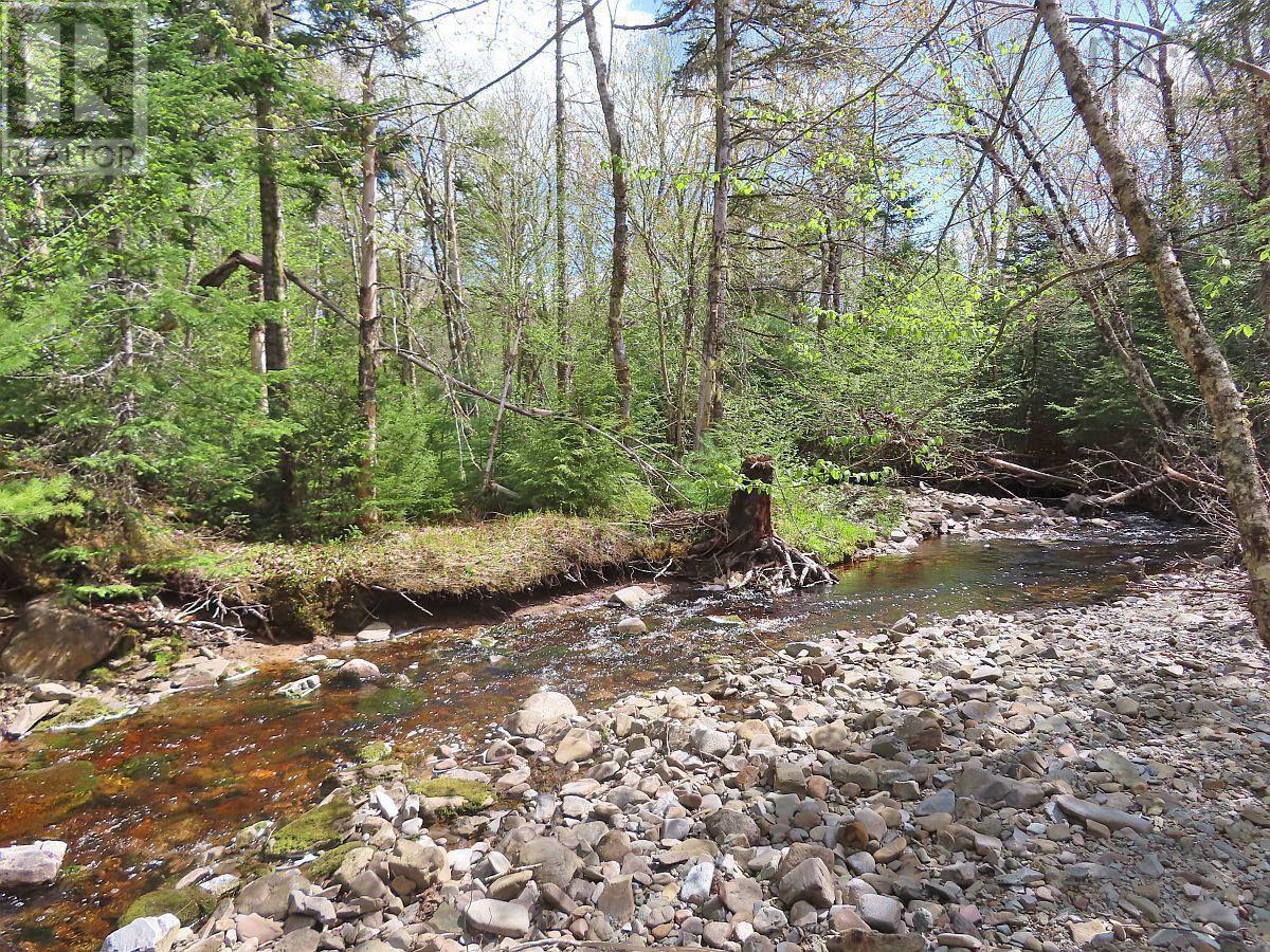 128.5 Acres West Side Road, West Side Country Harbour, Nova Scotia  B0H 1J0 - Photo 10 - 202608623