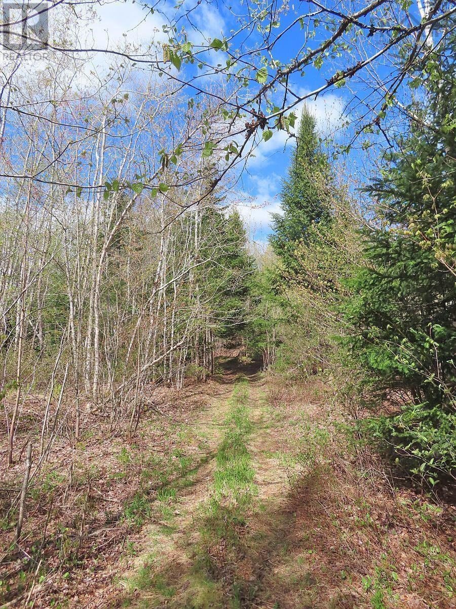 128.5 Acres West Side Road, West Side Country Harbour, Nova Scotia  B0H 1J0 - Photo 14 - 202608623