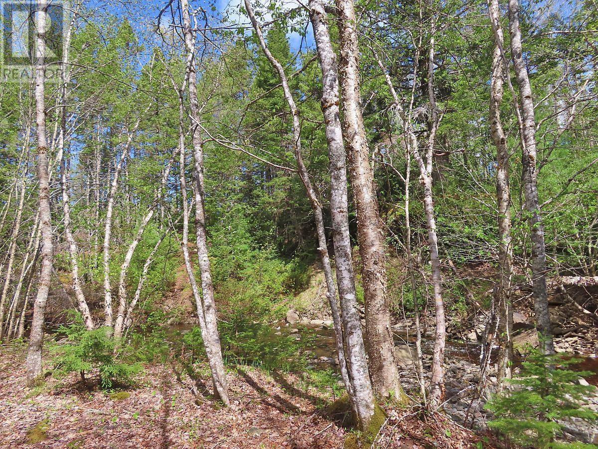 128.5 Acres West Side Road, West Side Country Harbour, Nova Scotia  B0H 1J0 - Photo 16 - 202608623