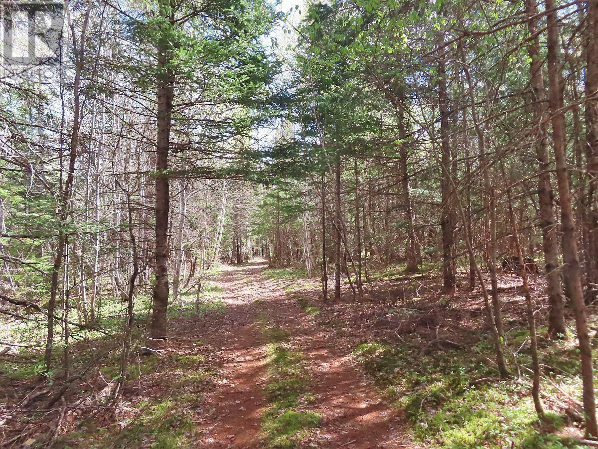 128.5 Acres West Side Road, West Side Country Harbour, Nova Scotia  B0H 1J0 - Photo 17 - 202608623