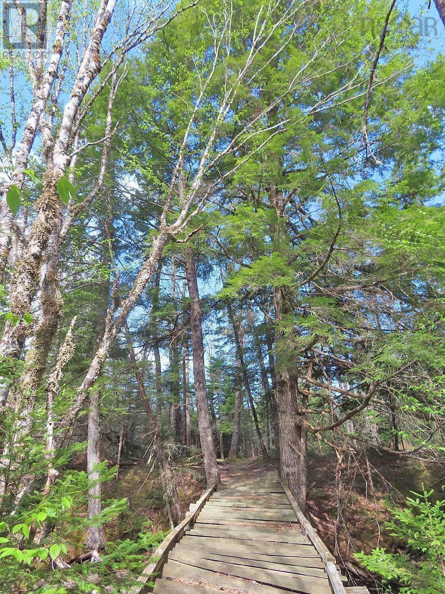 128.5 Acres West Side Road, West Side Country Harbour, Nova Scotia  B0H 1J0 - Photo 12 - 202608623
