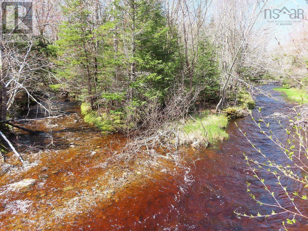 128.5 Acres West Side Road, West Side Country Harbour, Nova Scotia  B0H 1J0 - Photo 2 - 202608623