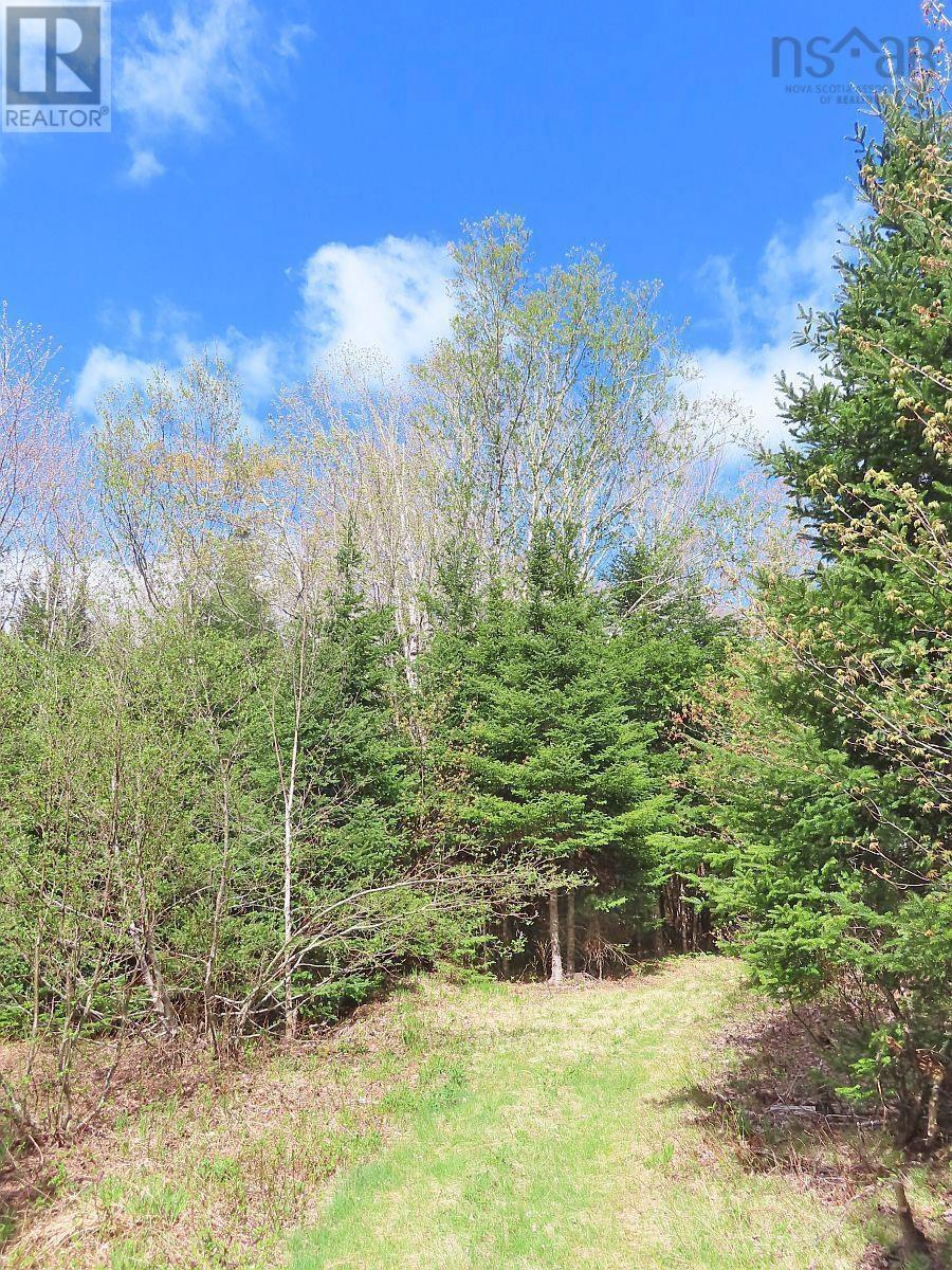 128.5 Acres West Side Road, West Side Country Harbour, Nova Scotia  B0H 1J0 - Photo 13 - 202608623