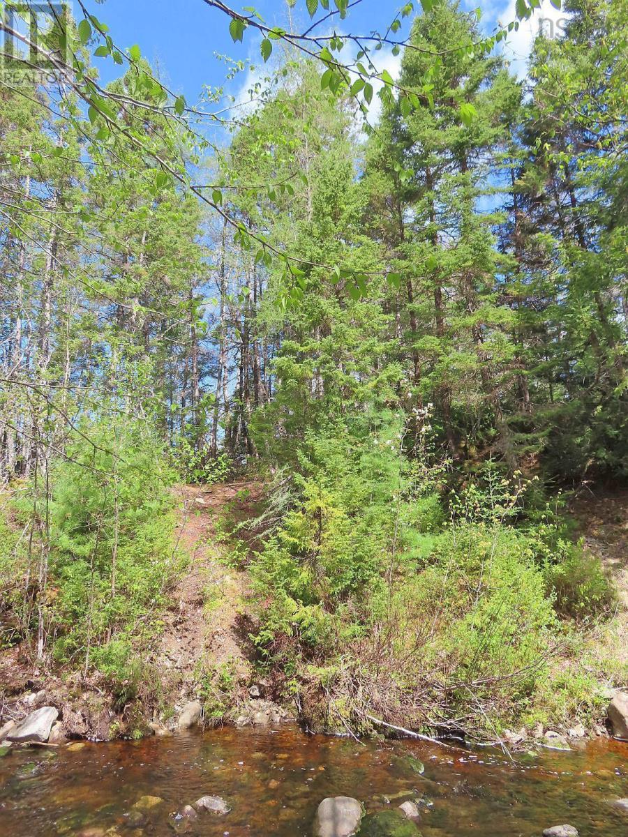 128.5 Acres West Side Road, West Side Country Harbour, Nova Scotia  B0H 1J0 - Photo 11 - 202608623