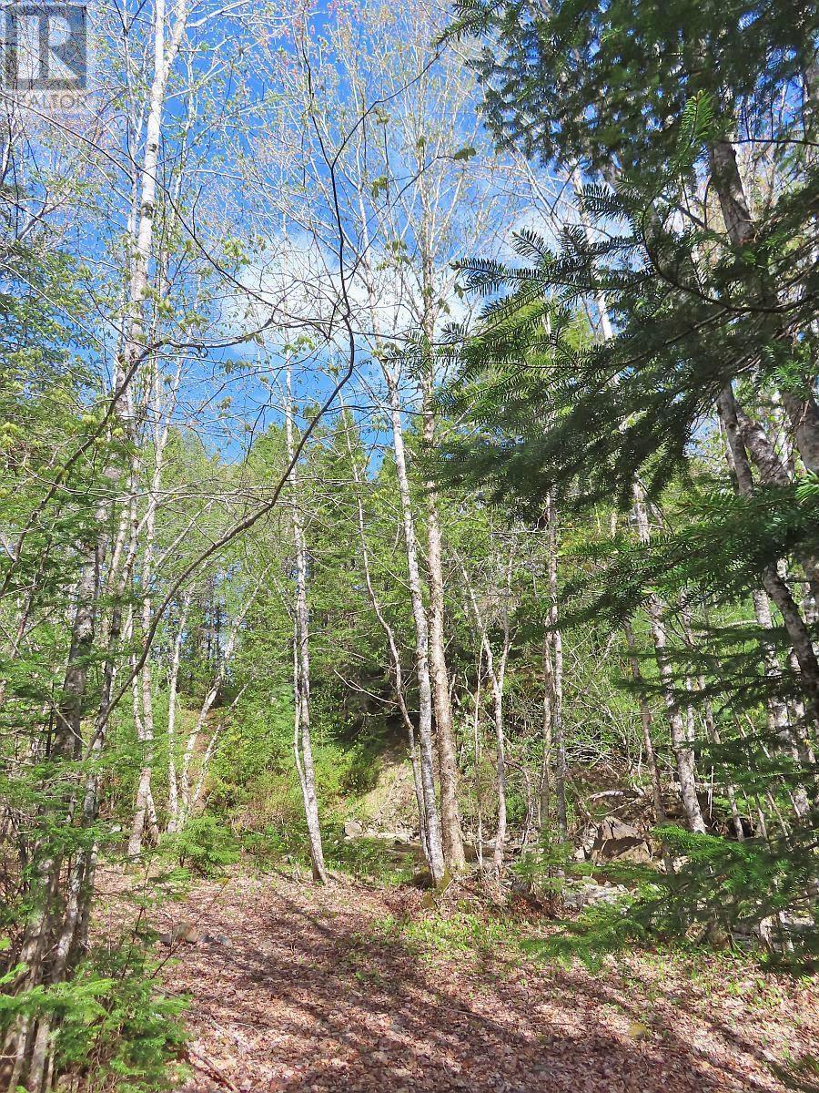 128.5 Acres West Side Road, West Side Country Harbour, Nova Scotia  B0H 1J0 - Photo 15 - 202608623