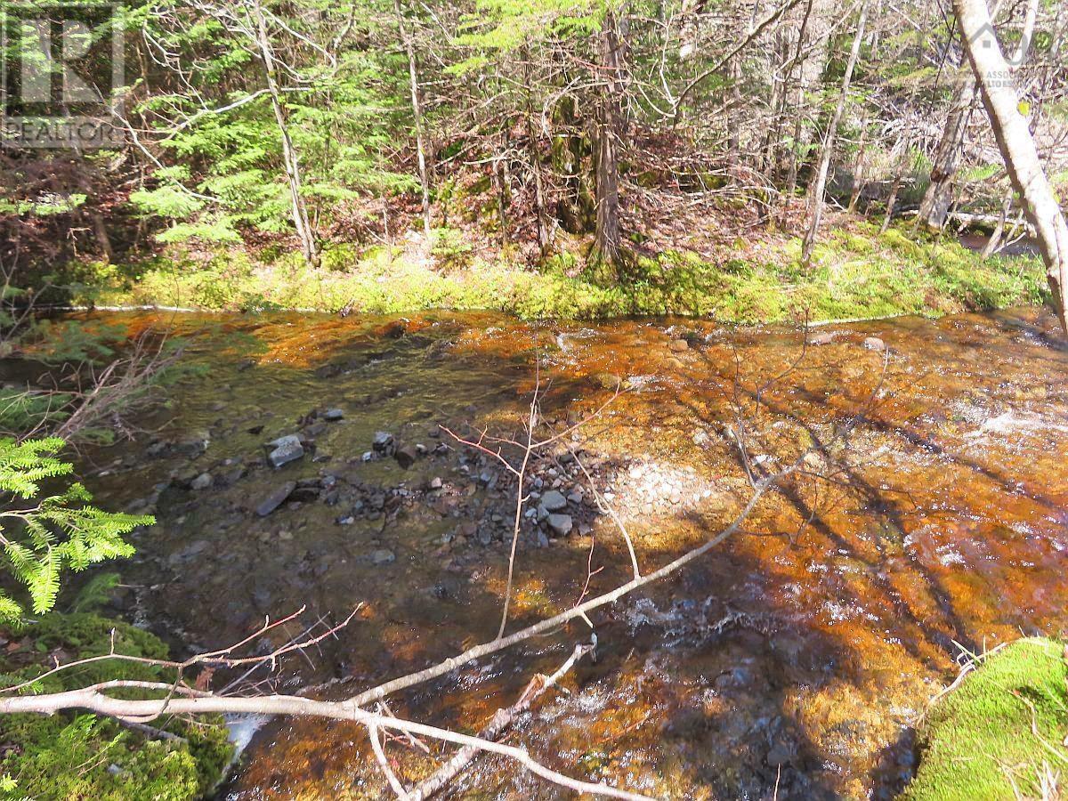 128.5 Acres West Side Road, West Side Country Harbour, Nova Scotia  B0H 1J0 - Photo 3 - 202608623