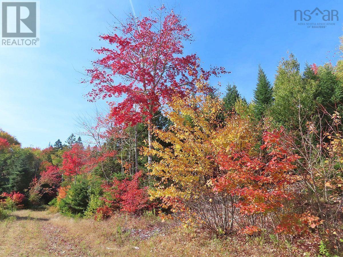 128.5 Acres West Side Road, West Side Country Harbour, Nova Scotia  B0H 1J0 - Photo 26 - 202608623