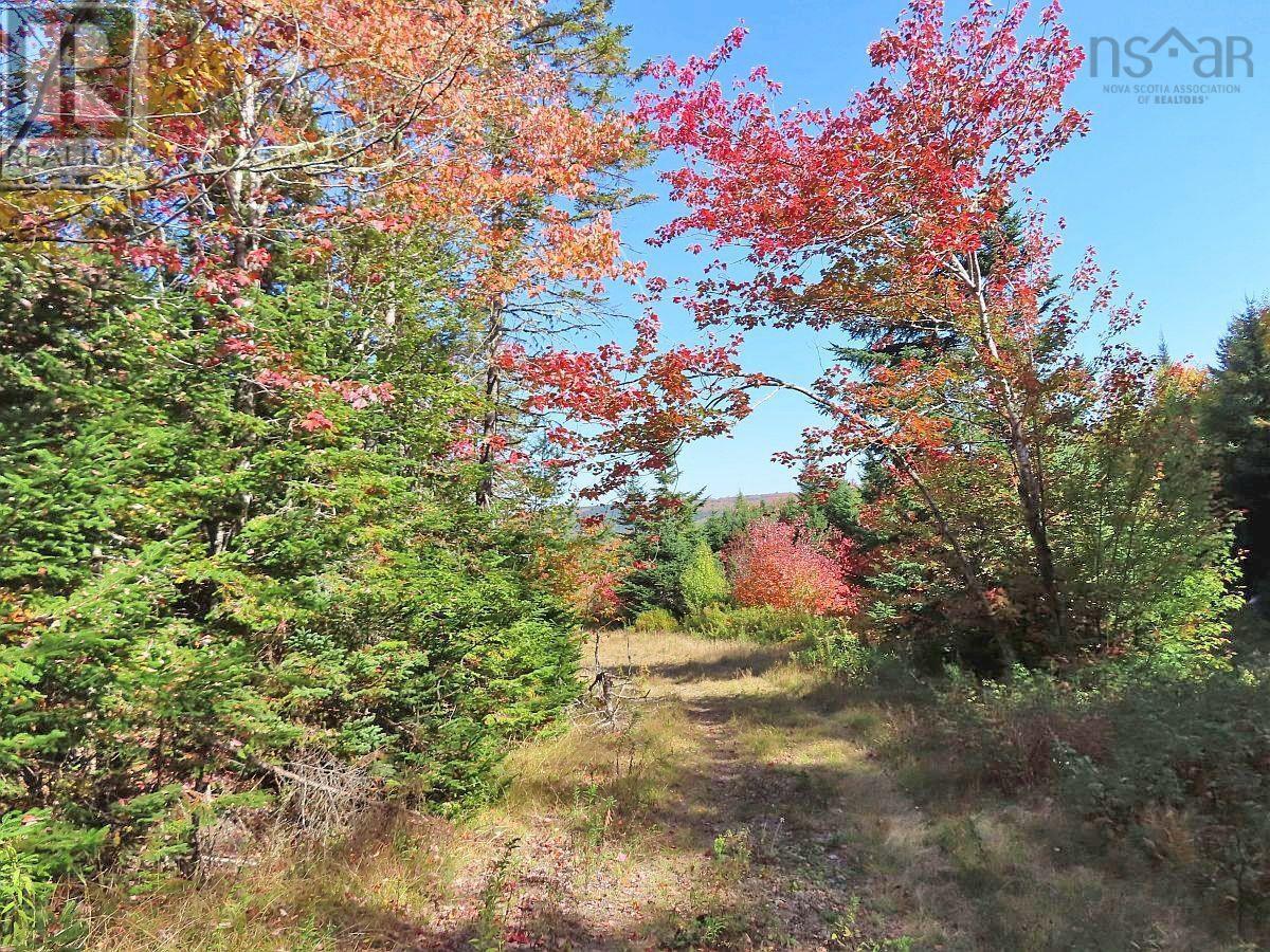 128.5 Acres West Side Road, West Side Country Harbour, Nova Scotia  B0H 1J0 - Photo 30 - 202608623