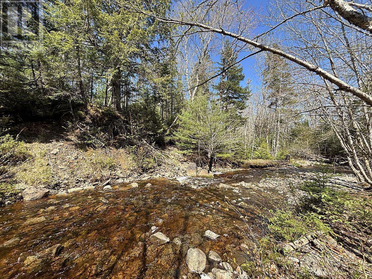 128.5 Acres West Side Road, West Side Country Harbour, Nova Scotia  B0H 1J0 - Photo 4 - 202608623