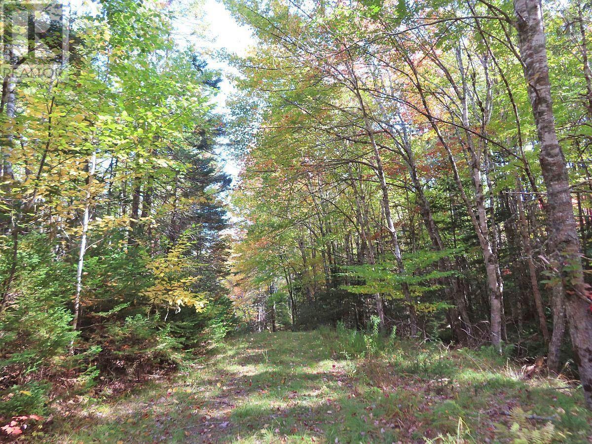 128.5 Acres West Side Road, West Side Country Harbour, Nova Scotia  B0H 1J0 - Photo 32 - 202608623