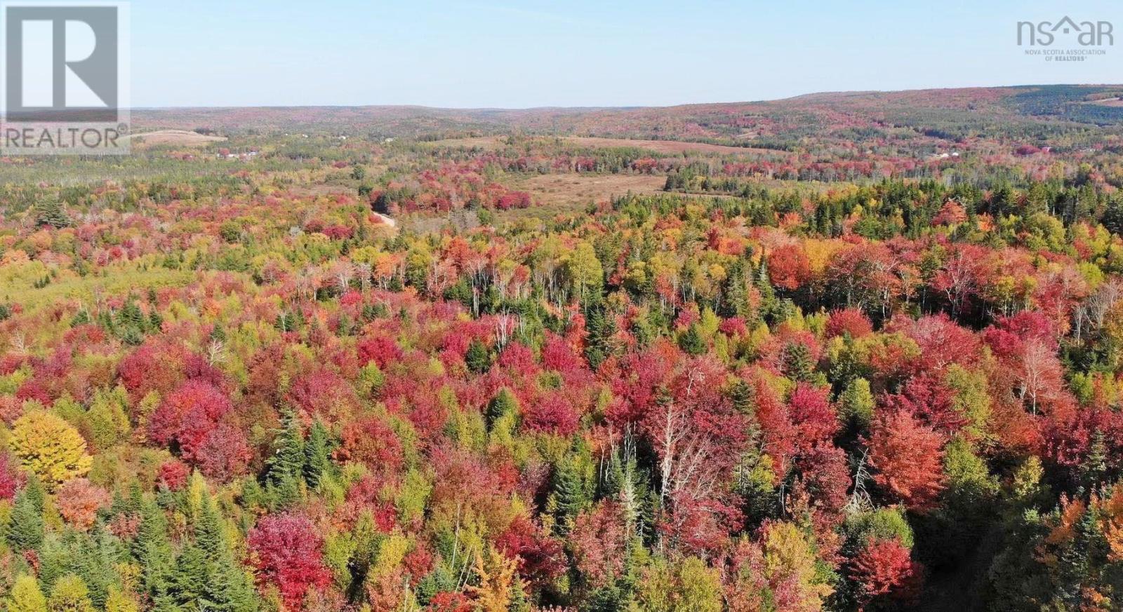 128.5 Acres West Side Road, West Side Country Harbour, Nova Scotia  B0H 1J0 - Photo 37 - 202608623