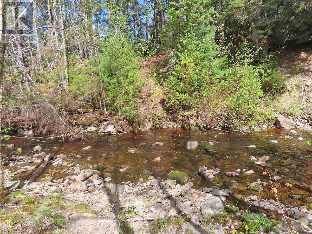 128.5 Acres West Side Road, West Side Country Harbour, Nova Scotia  B0H 1J0 - Photo 9 - 202608623