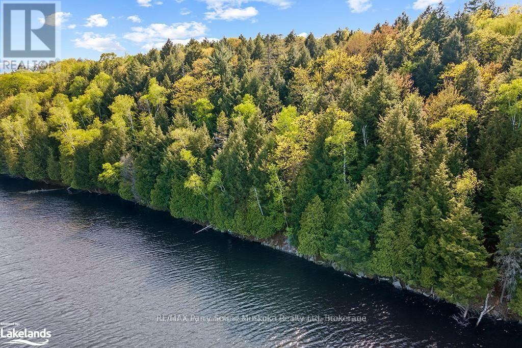 1 Salway Lane, Mckellar, Ontario  P0G 1C0 - Photo 5 - X13173202